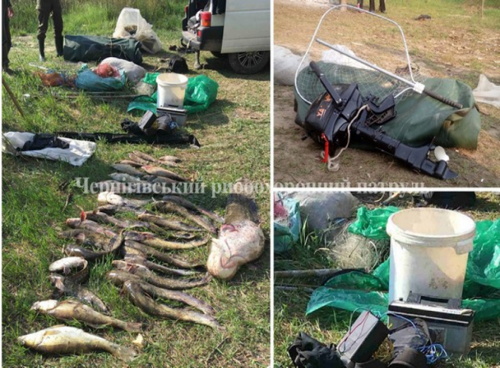 Чернігівський рибоохоронний патруль викрив браконьєрів з електроловом