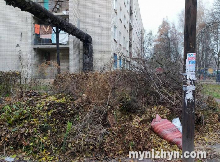 Стихійне сміттєзвалище на Березанській: скільки не прибирай, а історія повторюється...