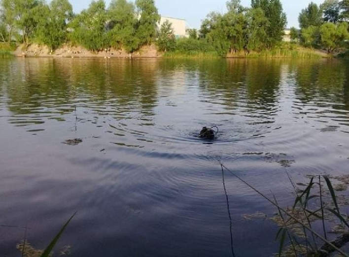 Одна дитина та четверо дорослих: п'ять смертей за вихідні на водоймах Чернігівщини 