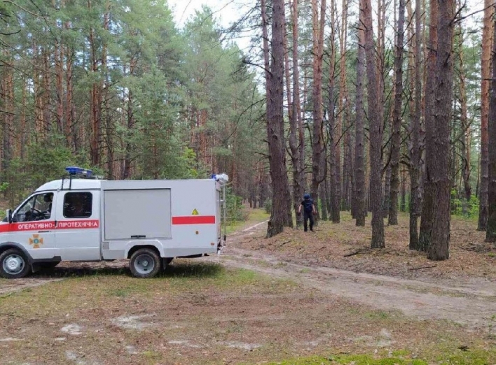 Другу добу шукають: у лісах Чернігівщини заблукала жінка
