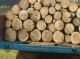 Шахрайство процвітає: на Чернігівщині жінку ошукали "продавці дров"