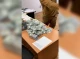 Під час обшуків у колишнього голови Чернігівської обласної ВЛК виявили майже 1 мільйон доларів 