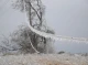 На Чернігівщині буде вітряно: штормове попередження