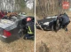 Батьки загинули, а 10-річна дівчинка вибралася: на Чернігівщині на авто впало дерево