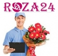 Roza24