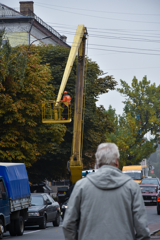 береза, центр, світло