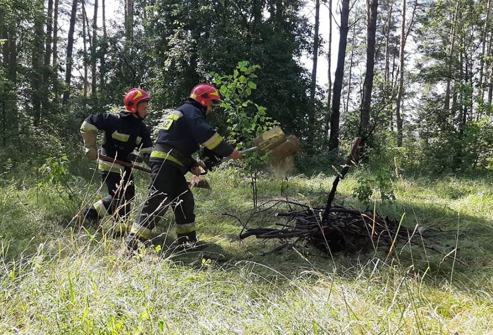 тренування, лісівники, рятувальники, пожежі