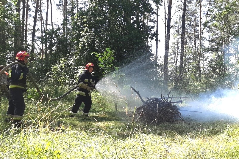 тренування, лісівники, рятувальники, пожежі