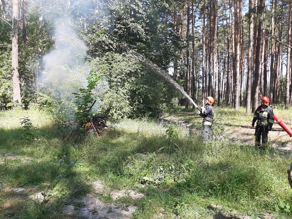 тренування, лісівники, рятувальники, пожежі