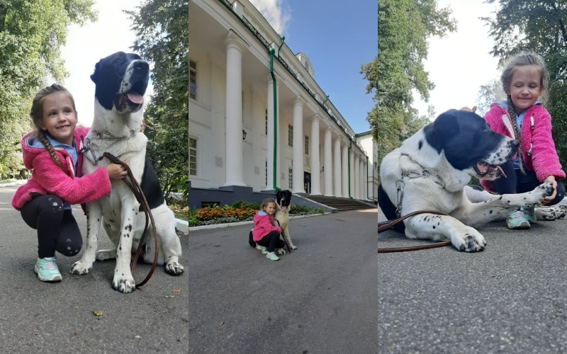 фотоконкурс, Мій домашній улюбленець, фінал, голосування