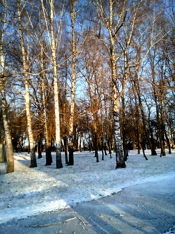 сніг, березень, Ніжин