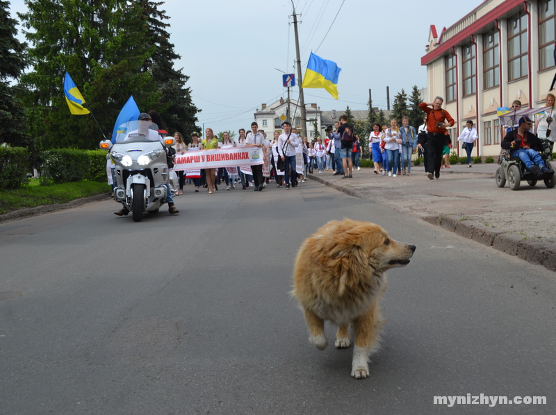 мегамарш, вишиванки, Вишиванкова хода