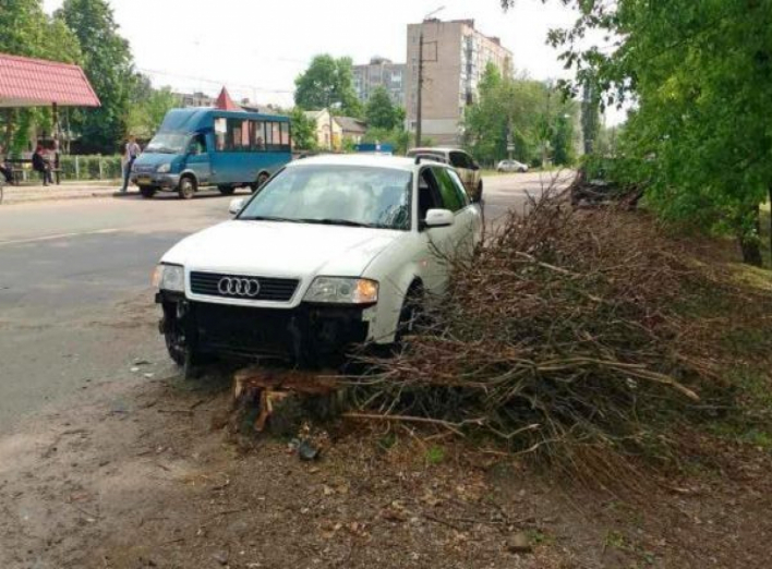 ДТП на Шевченка: пень тополі врятував водія