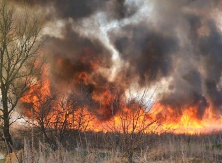 Дві пожежі на Ніжинщині: людська недбалість чи злий умисел?