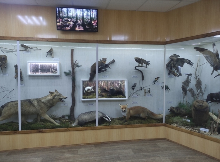 У Ніжині відкрили оновлений музейний відділ "Природа Приостер'я"