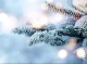 Прогноз погоди на вихідні 9–10 грудня: вогко, місцями дощі та сніг