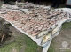 Ціна браконьєрства на Чернігівщині: збитків на понад 4 мільйони гривень