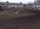 Життя останньої ферми на Чернігівщині в бік російського кордону (Відео)